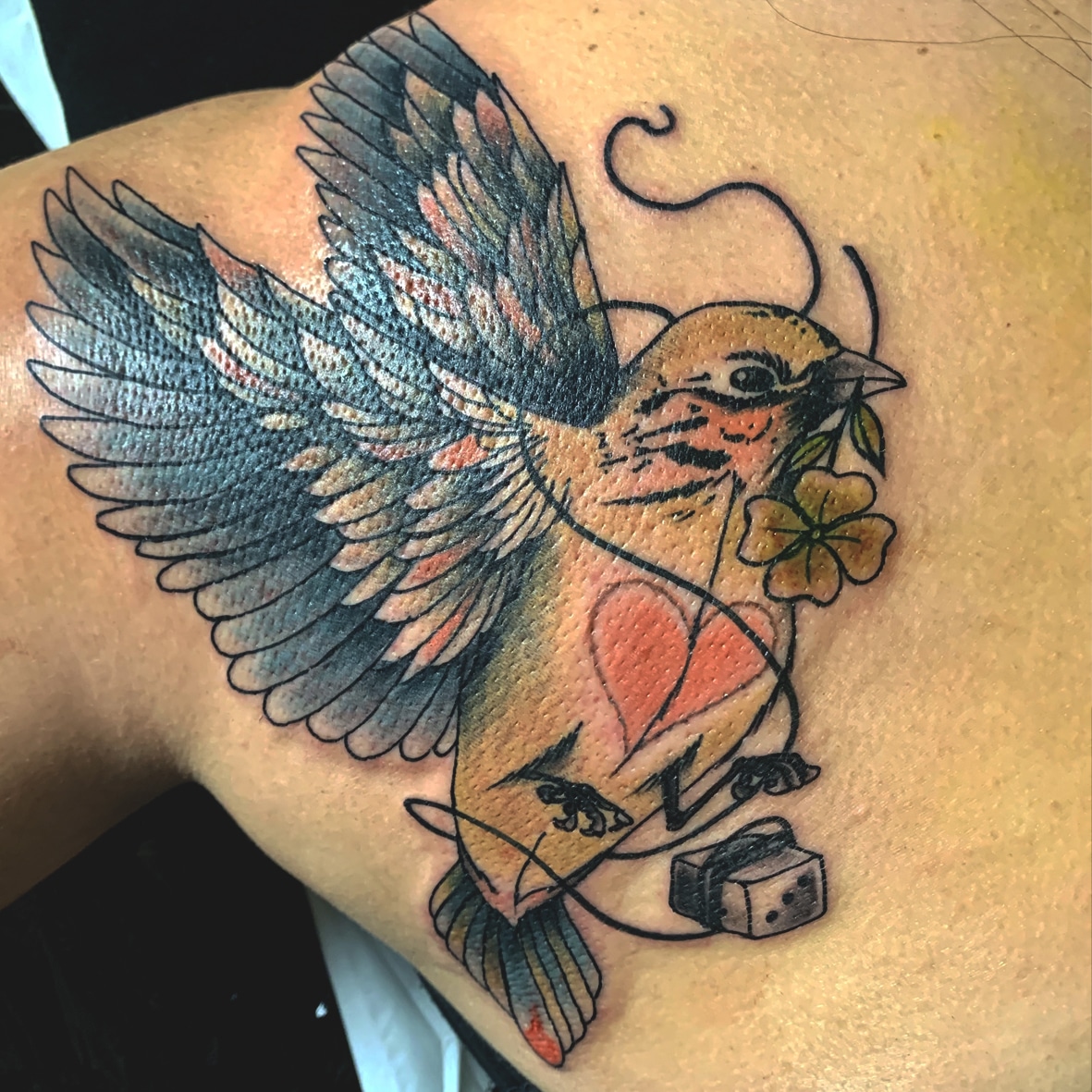 tatouage oiseau couleurs